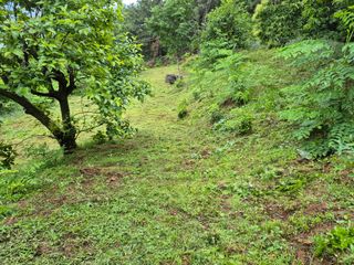 팜모닝회원류한배님의 기타작물 · 영농일지 작성글 사진