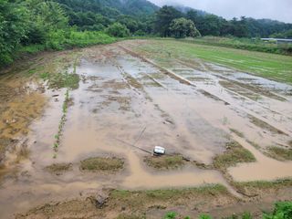 이남주님의 콩 · 영농일지 작성글 사진