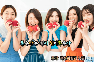 드래곤락님의 복숭아 · 영농일지 작성글 사진