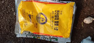 보물섬남자님의 귤 · 영농일지 작성글 사진