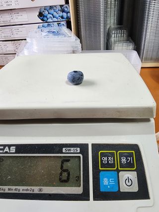 밀양달콤팜님의 기타작물 · 영농일지 작성글 사진