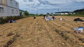 김남근님의 감자 · 영농일지 작성글 사진