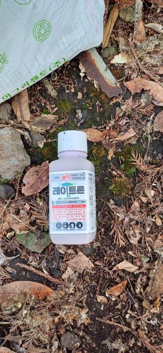 보물섬남자님의 귤 · 영농일지 작성글 사진