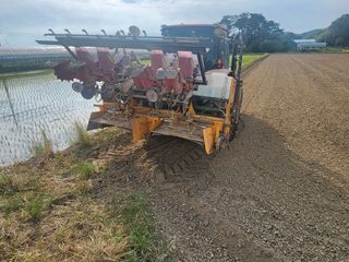 김영준님의 콩 · 영농일지 작성글 사진