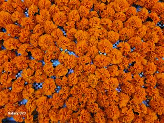 이신화님의 기타작물 · 영농일지 작성글 사진