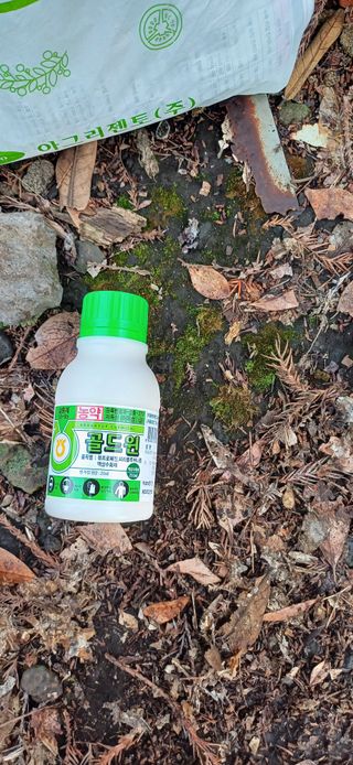 보물섬남자님의 귤 · 영농일지 작성글 사진