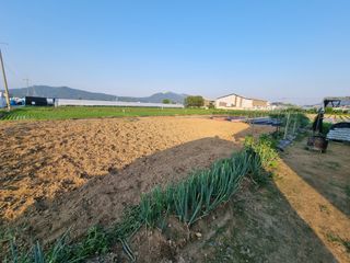 백석읍오산3리조남범님의 기타작물 · 영농일지 작성글 사진