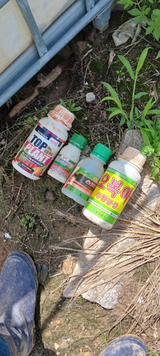 김 연님의 기타작물 · 영농일지 작성글 사진