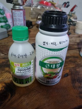 고춘석(고랑과이랑)님의 기타작물 · 영농일지 작성글 사진