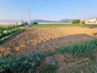 백석읍오산3리조남범님의 기타작물 · 영농일지 작성글 사진