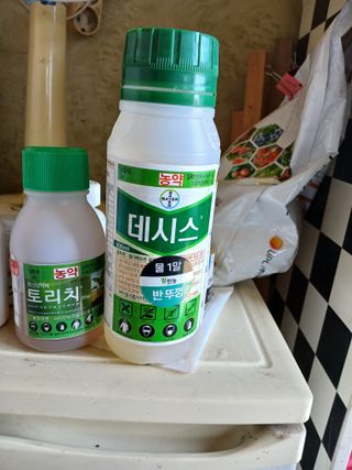 백영호님의 작성글 사진