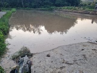 강진귀농10년차님의 벼 · 영농일지 작성글 사진