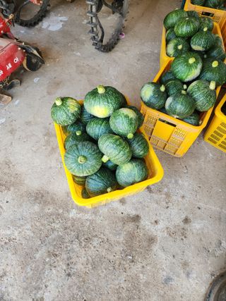 박정석님의 기타작물 · 영농일지 작성글 사진