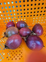 팜모닝 기타작물·영농일지 게시글 이미지