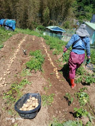 김명자님의 기타작물 · 영농일지 작성글 사진