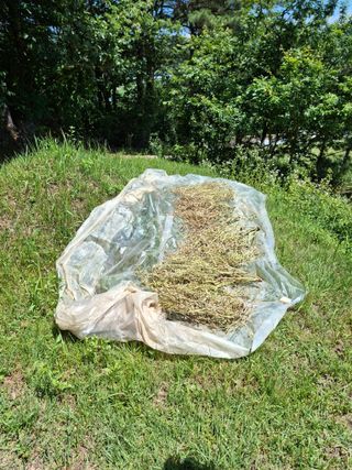 형남영님의 기타작물 · 영농일지 작성글 사진