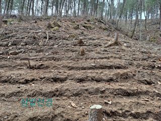 Yena1139님의 기타작물 · 영농일지 작성글 사진