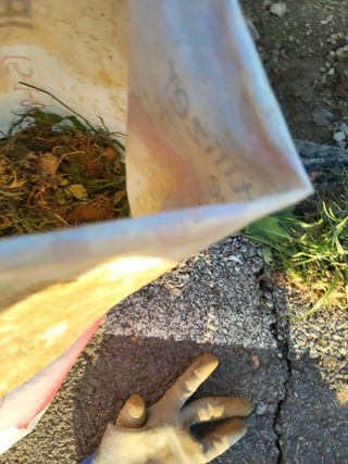 최유순님의 기타작물 · 영농일지 작성글 사진