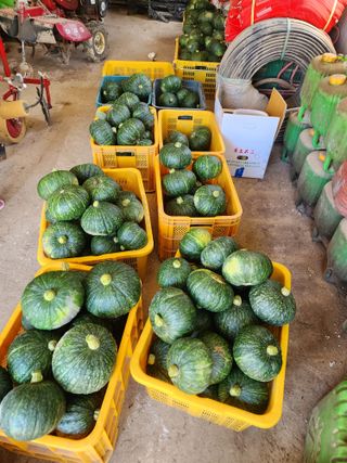 박정석님의 기타작물 · 영농일지 작성글 사진