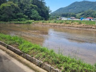 강진귀농10년차님의 벼 · 영농일지 작성글 사진