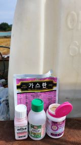 팜모닝 고추·영농일지 게시글 이미지