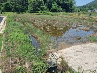 강진귀농10년차님의 벼 · 영농일지 작성글 사진