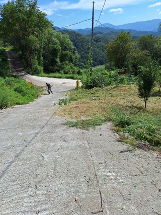 Yena1139님의 기타작물 · 영농일지 작성글 사진