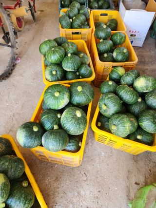 박정석님의 기타작물 · 영농일지 작성글 사진