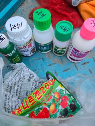 김진수님의 기타작물 · 영농일지 작성글 사진