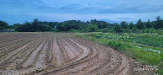 엄성열님의 콩 · 영농일지 작성글 사진