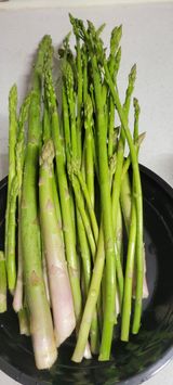 팜모닝 기타작물·영농일지 게시글 이미지