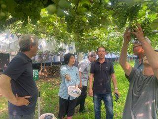 별@노래농장(정씨)님의 기타작물 · 영농일지 작성글 사진