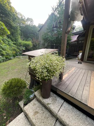 별@노래농장(정씨)님의 벼 · 영농일지 작성글 사진