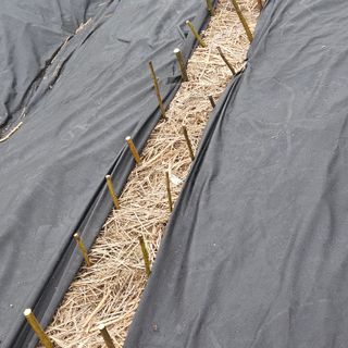 이주환님의 기타작물 · 영농일지 작성글 사진