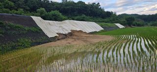 볘 전업농 미소진미님의 기타작물 · 영농일지 작성글 사진