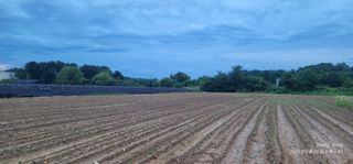 엄성열님의 콩 · 영농일지 작성글 사진