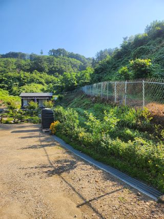 김응진님의 고추 · 영농일지 작성글 사진