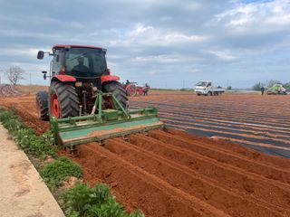 별@노래농장(정씨)님의 기타작물 · 영농일지 작성글 사진