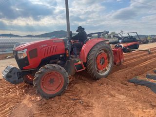 별@노래농장(정씨)님의 기타작물 · 영농일지 작성글 사진