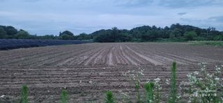 엄성열님의 콩 · 영농일지 작성글 사진