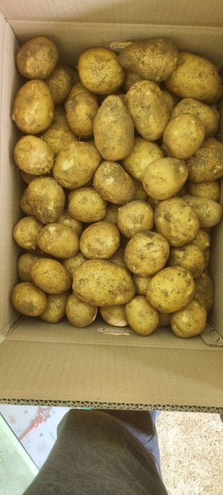 박사원농장님의 기타작물 · 영농일지 작성글 사진