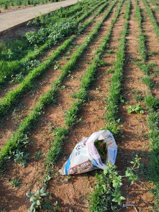 최유순님의 기타작물 · 영농일지 작성글 사진