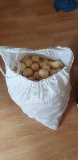 팜모닝 감자·영농일지 게시글 이미지