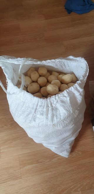 사또님의 감자 · 영농일지 작성글 사진