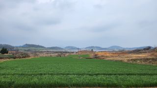 팜블리분매리농윈님의 기타작물 · 영농일지 작성글 사진