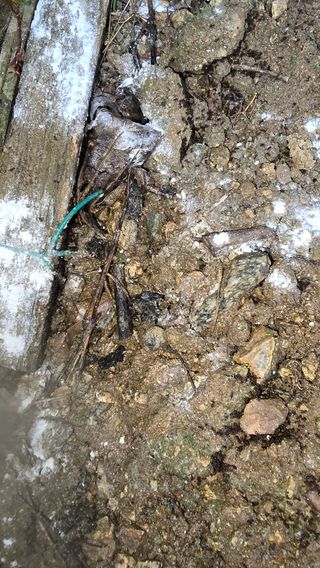 박해용(세건농장)님의 복숭아 · 영농일지 작성글 사진