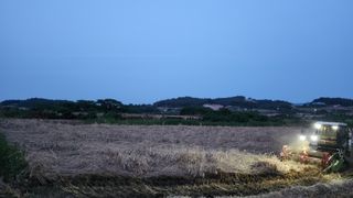 팜블리분매리농윈님의 기타작물 · 영농일지 작성글 사진