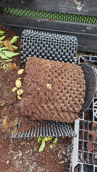 김세용님의 감자 · 영농일지 작성글 사진