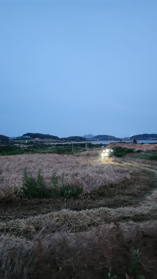 팜블리분매리농윈님의 기타작물 · 영농일지 작성글 사진