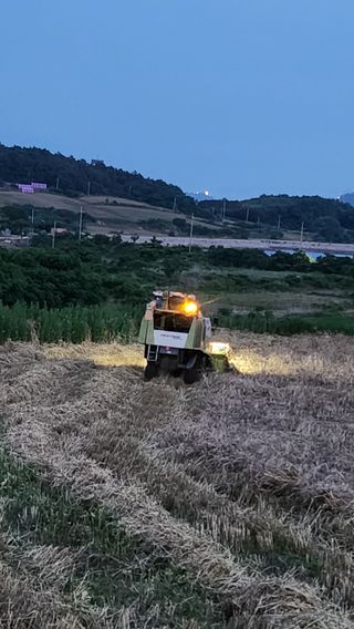 팜블리분매리농윈님의 기타작물 · 영농일지 작성글 사진